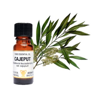 Cajeput 10-ml - By Pumpernickel Online an Natural and Dietary Supplements Store Bedford UK