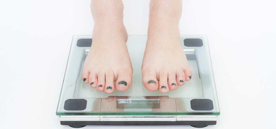 Can seaweed Help Weight Loss Can seaweed Help Weight Loss