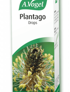 Plantago drops