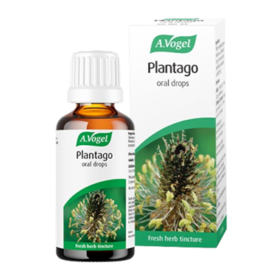 Plantago drops