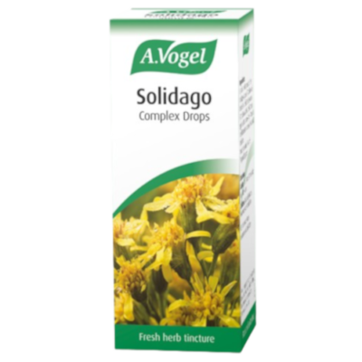 Solidago Fresh herb tincture