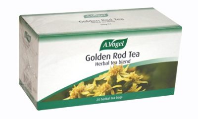 Golden Rod Tea