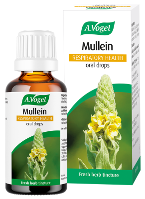 Mullein Oral Drops - 50ml - Image 2