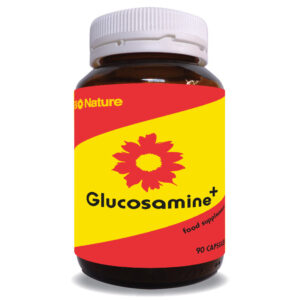 Glucosamine Plus 90s