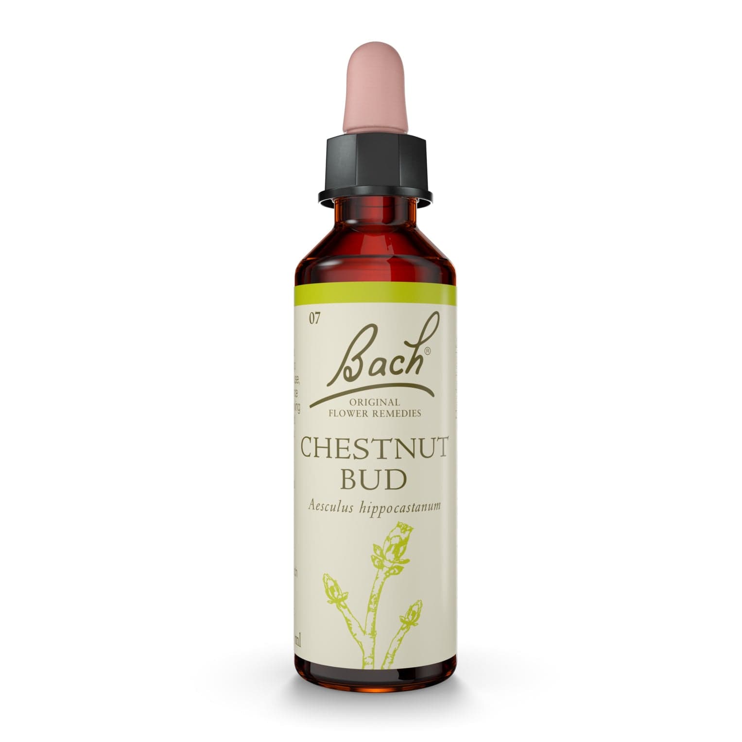 Bach Original Flower Remedy Chestnut Bud 20ml