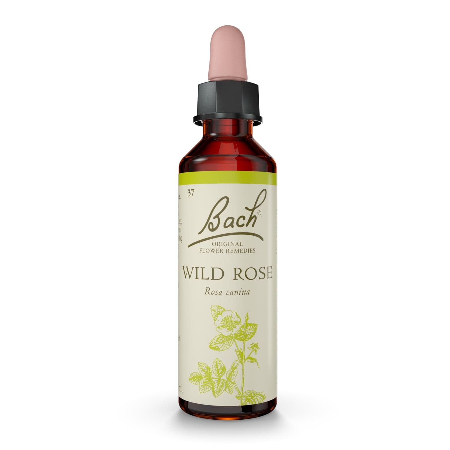 Bach Original Flower Remedy Wild Rose 20ml