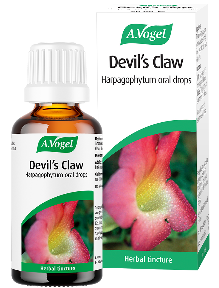 A.Vogel Devil's Claw Tincture - 100ml