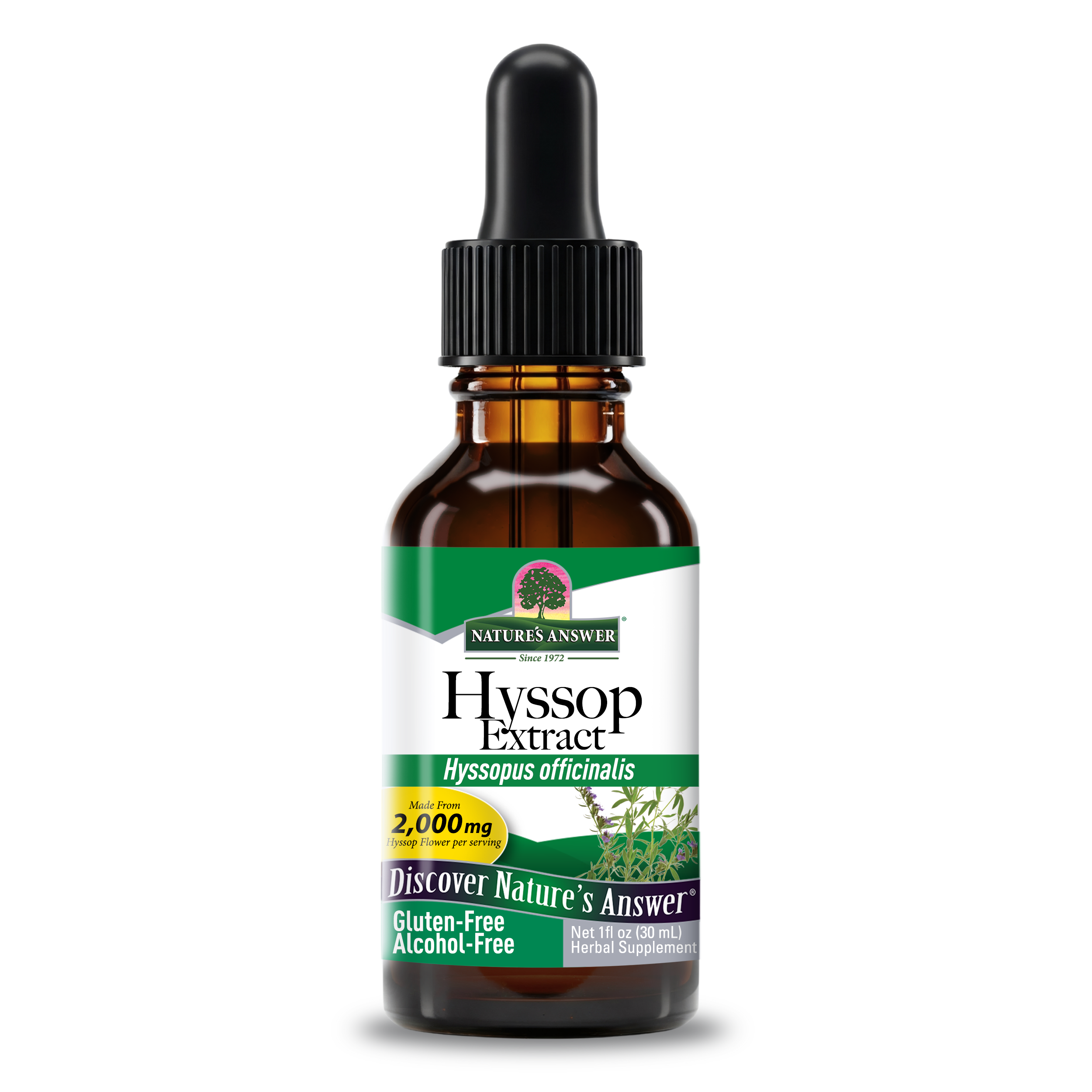 Nature's Answer Hyssop Extract, Alcohol-Free - 1 fl oz (30ml)