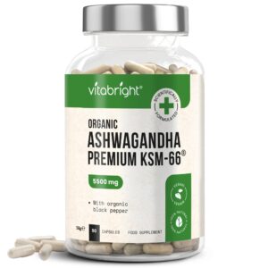 Org KSM-66 Ashwagandha 5500mg