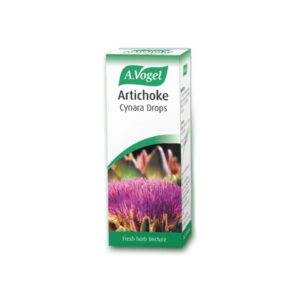 Artichoke (Cynara scolymus)