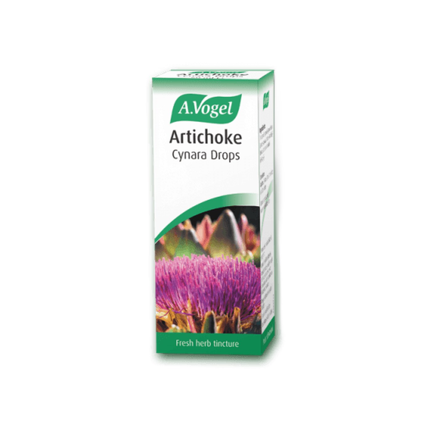 Artichoke (Cynara scolymus)