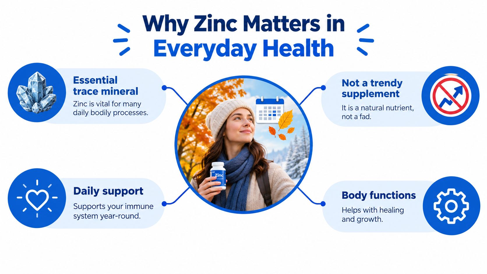An infographic titled Why Zinc Matters in Everyday Health featuring four key benefits regarding immune support and bodily functions.