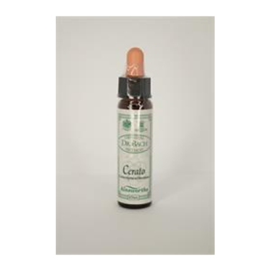 Flower Remedy Cerato - Cerato bach Flower Remedy 10ml