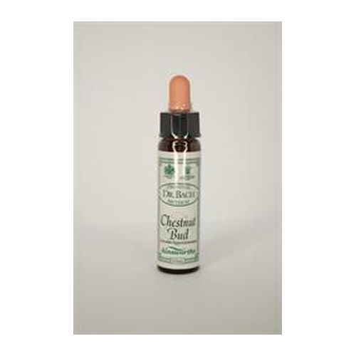 Flower Remedy Chestnut Bud - Chestnut Bud Bach Flower Rem 10ml