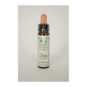 Flower Remedy Holly - Holly Bach Flower Remedy 10ml