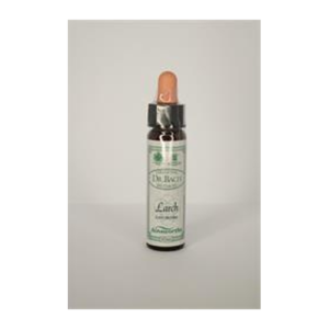 Flower Remedy Larch - Larch Bach Flower Remedy 10ml
