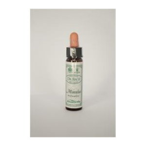 Flower Remedy Mimulus - Mimulus Bach Flower Remedy 10ml