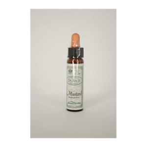 Flower Remedy Mustard - Mustard Bach Flower Remedy 10ml