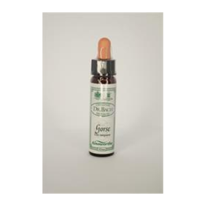Flower Remedy Gentian - Gentian Bach Flower Remedy 10ml