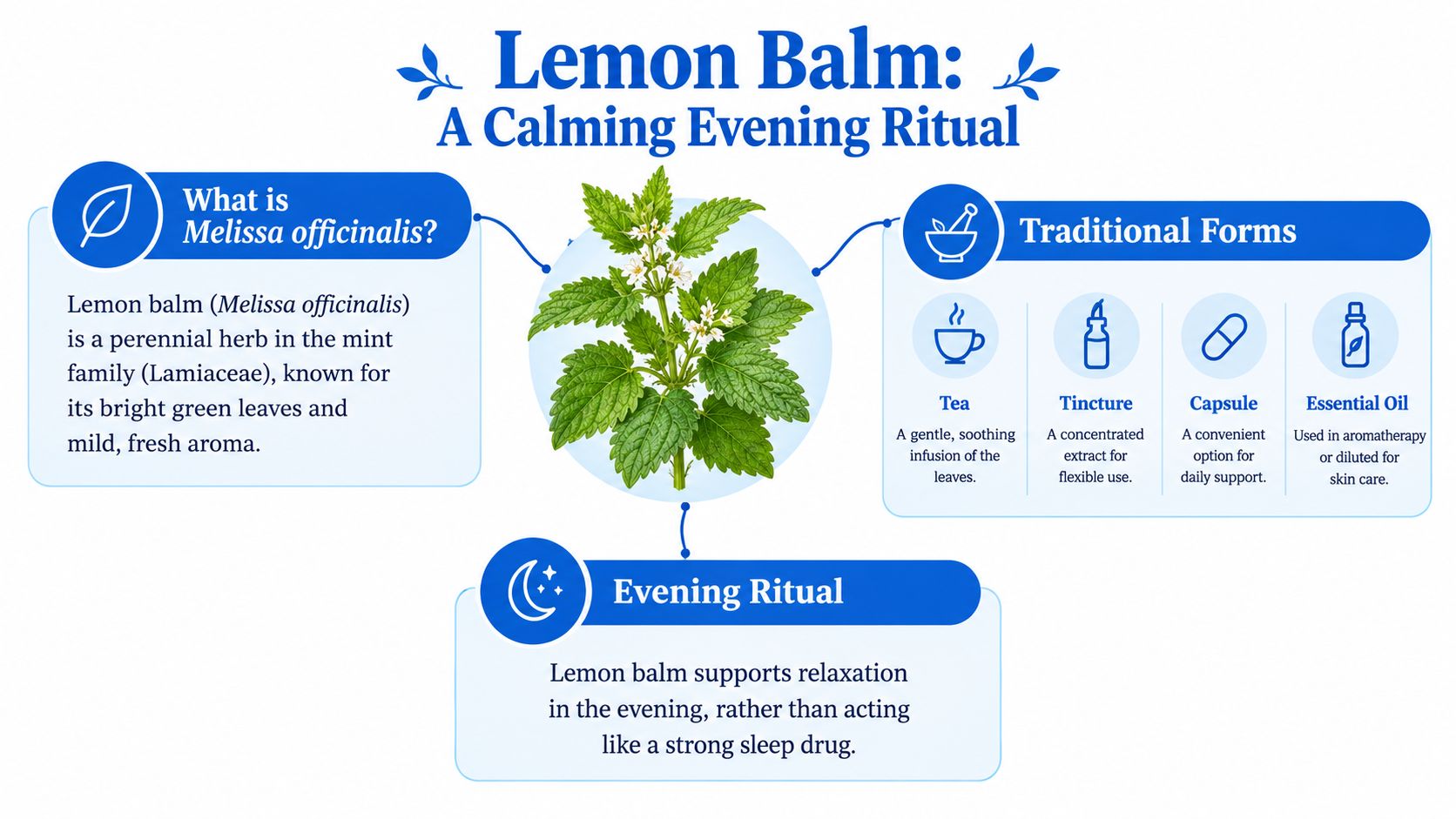 An infographic detailing lemon balm, including its botanical origins, traditional forms like tea and capsules, and relaxing effects.